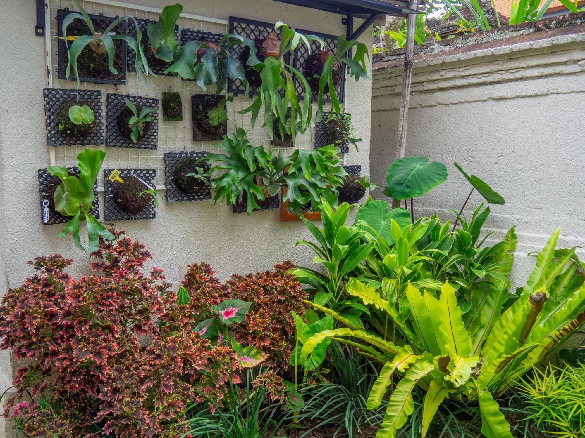 Arumasta Ubud Exterior foto